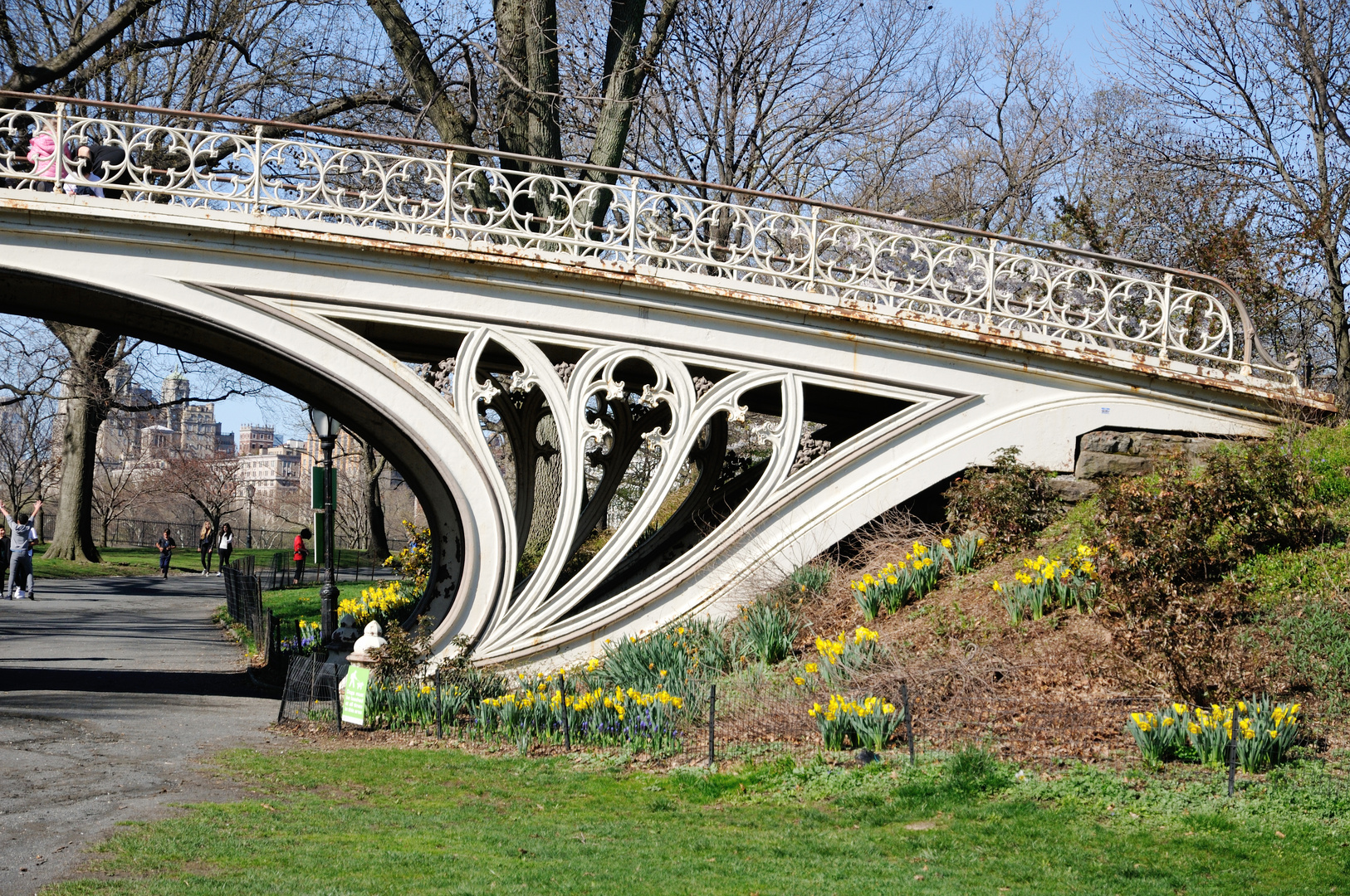 Central Park DSC_5675