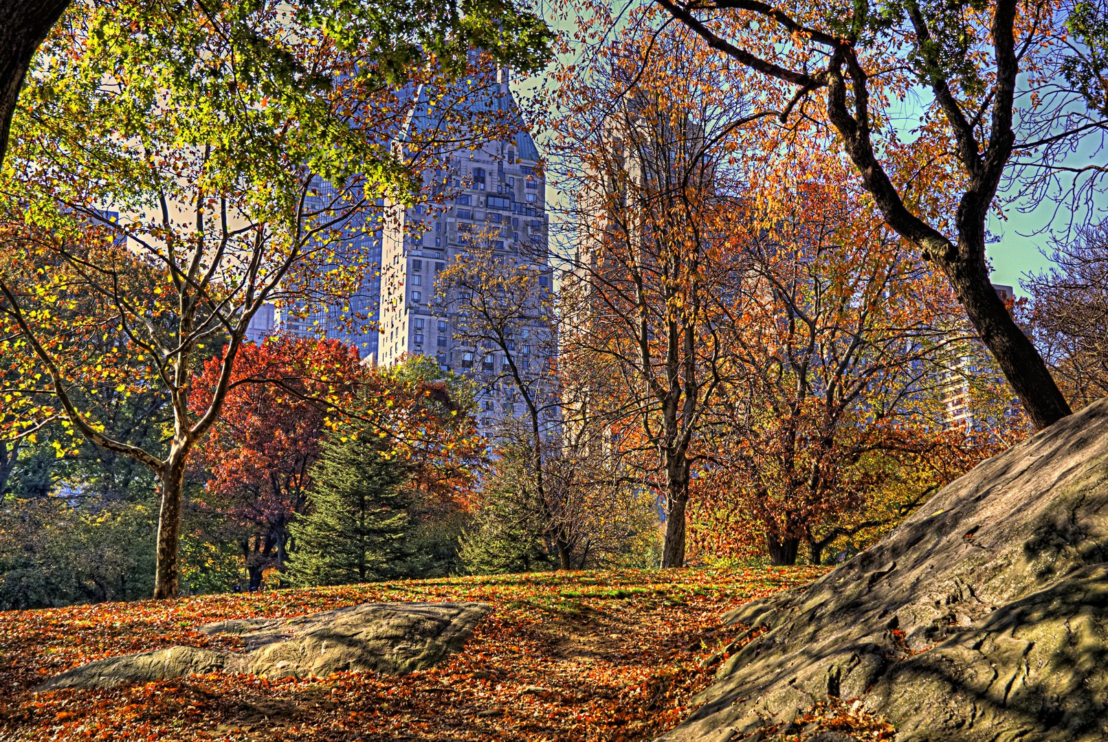 Central Park