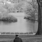 Central Park - friends