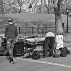 Central Park Fun