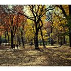 Central Park - Heart of NYC