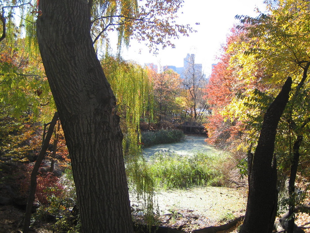 Central Park Herbst