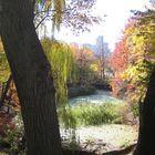 Central Park Herbst