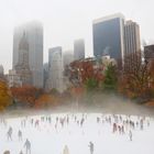 Central Park - Ice Rink ...