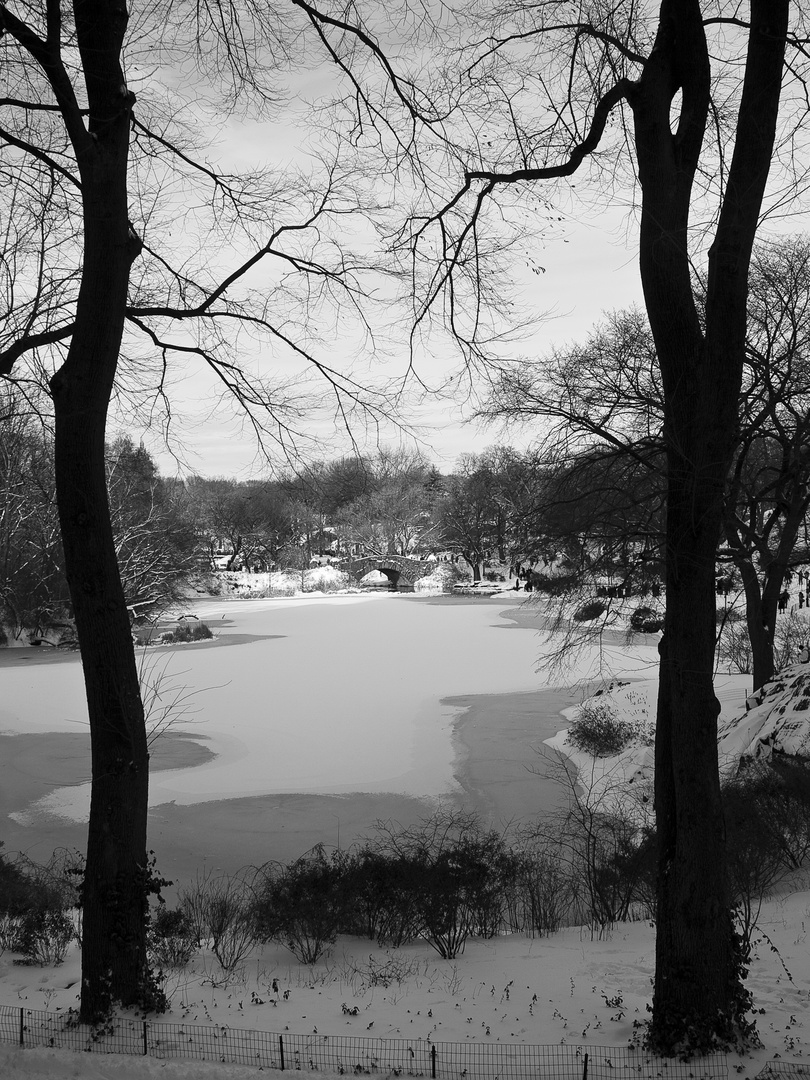 Central Park im Dezember - Wintereinbruch zum Wochenende