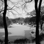 Central Park im Dezember - Wintereinbruch zum Wochenende