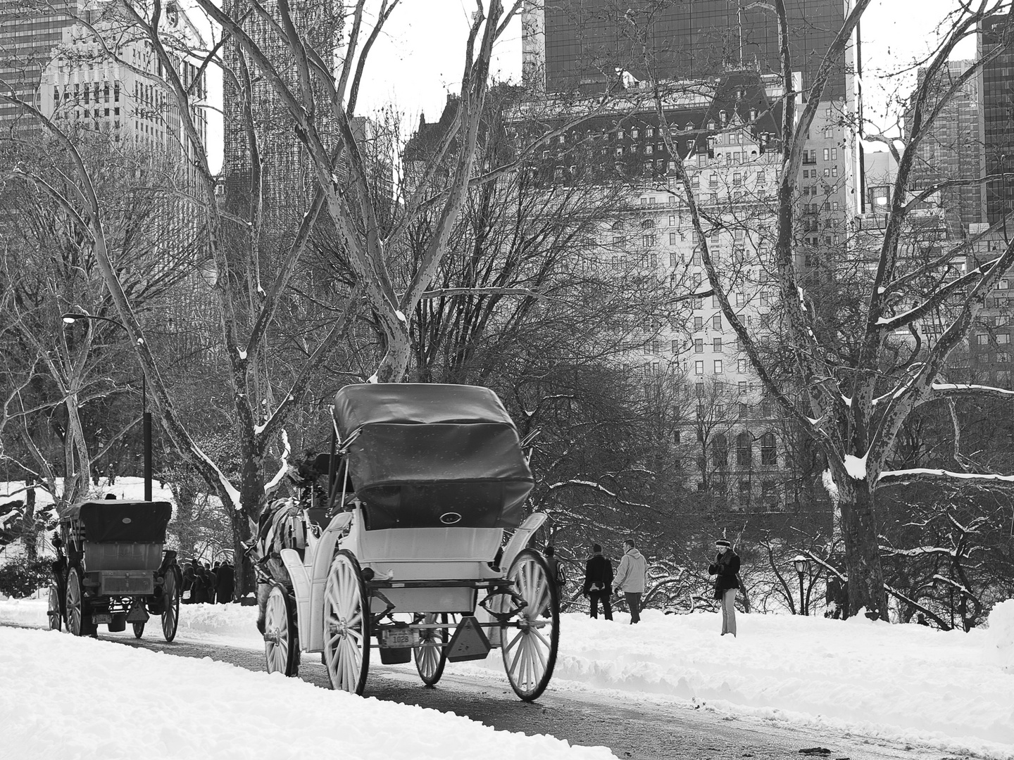 Central Park im Dezember - Wintereinbruch zum Wochenende #3