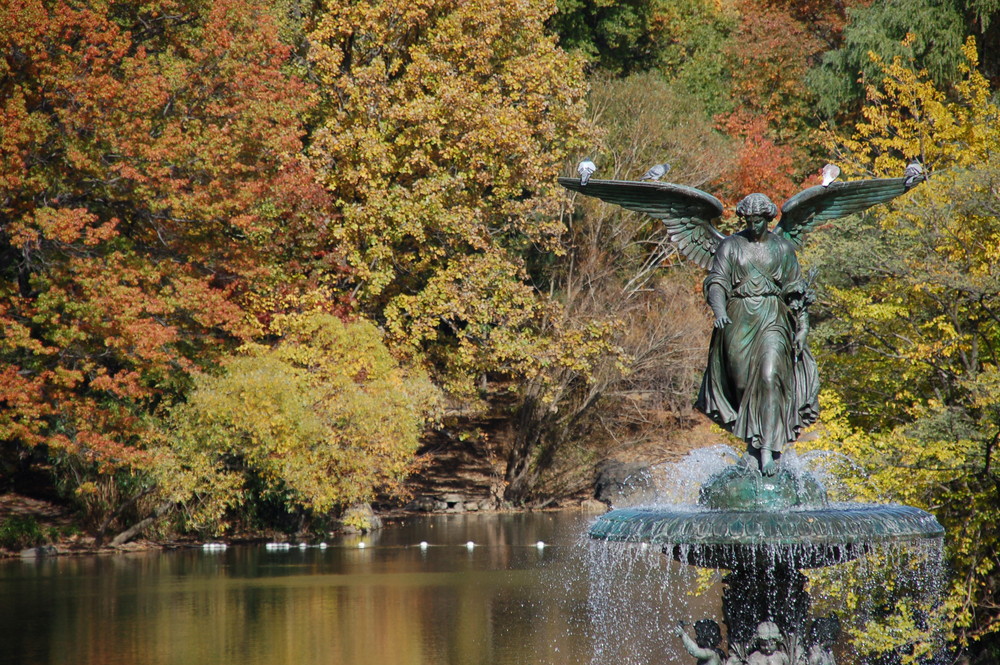 Central Park im Herbst