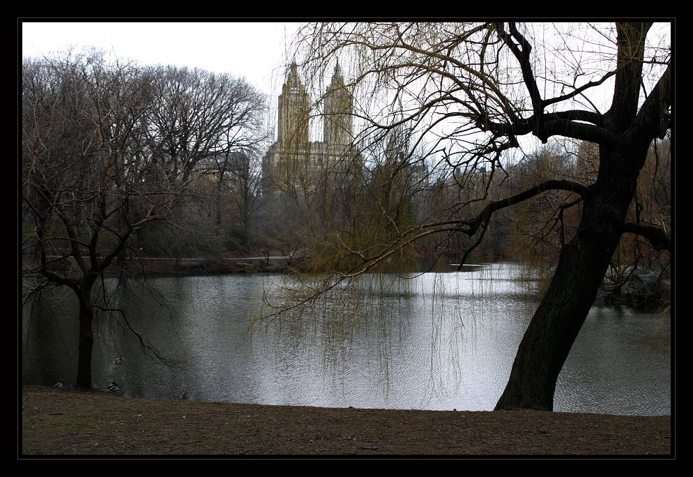 Central Park im Januar