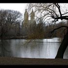 Central Park im Januar