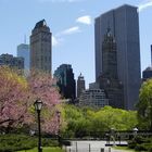 Central Park im Mai 2006