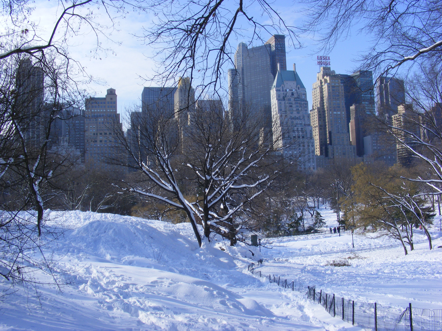 Central Park im Schnee