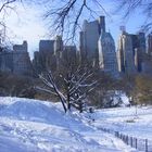 Central Park im Schnee