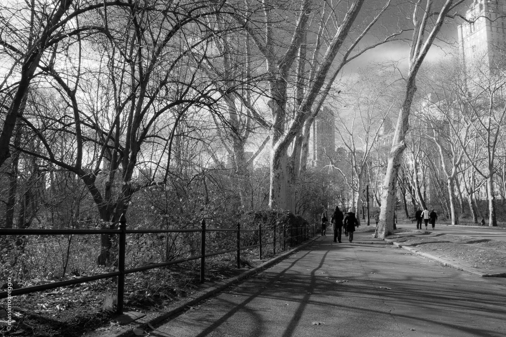 central park in BW