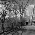 central park in BW