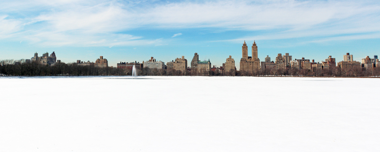 Central Park in February