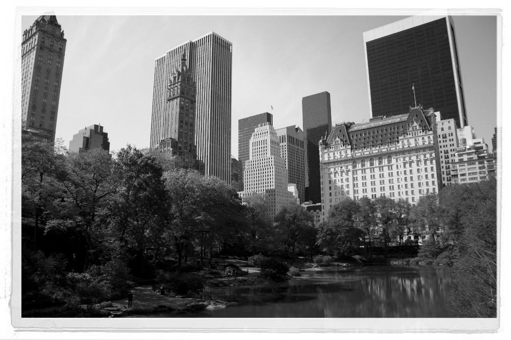 central park in grau und nicht grün