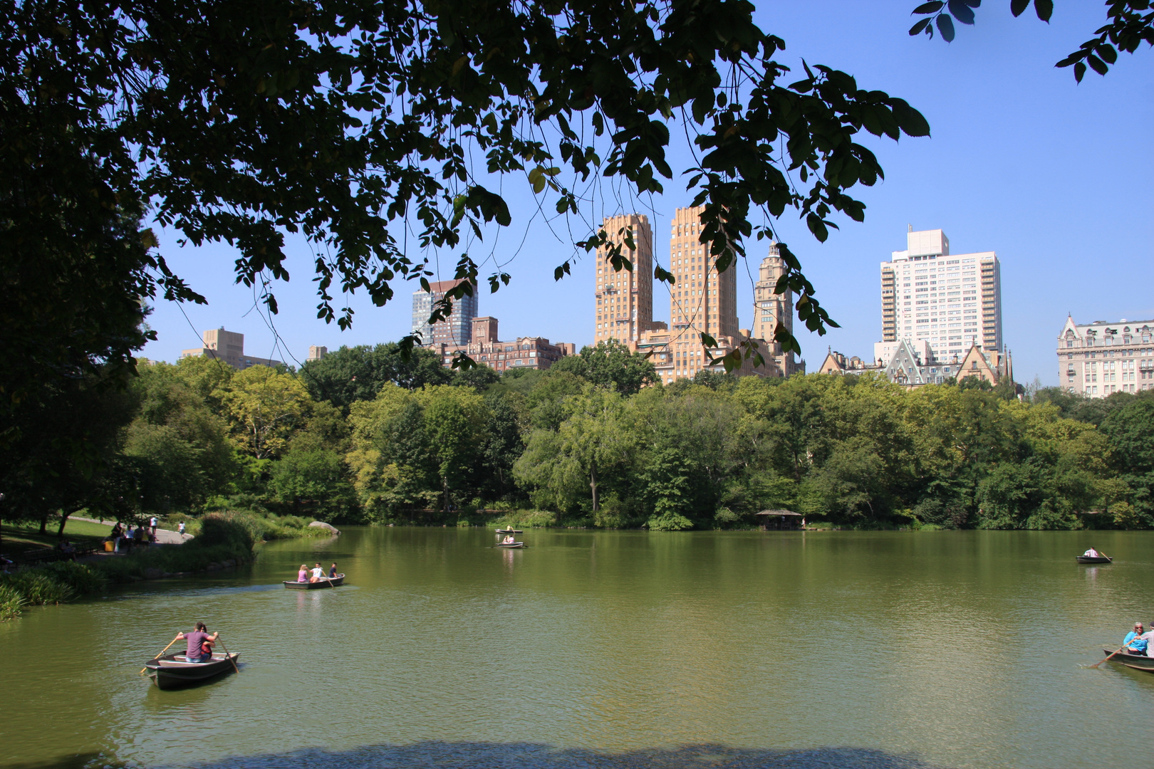 Central Park in New York