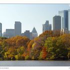 CENTRAL PARK IN NOVEMBER