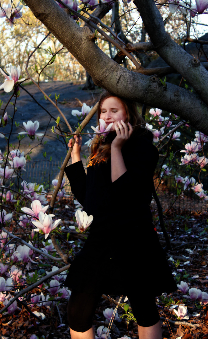 Central Park in the Spring :)