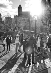 Central Park in the sun