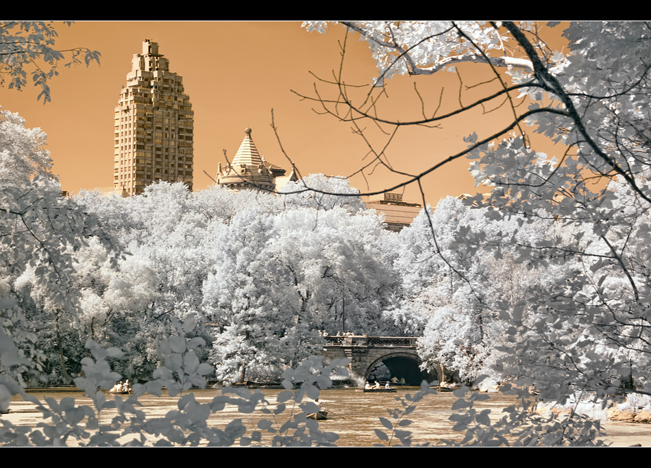 Central park IR