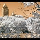 Central park IR