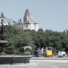 Central Park IV