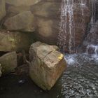 Central Park Loch Woodlands Waterfall