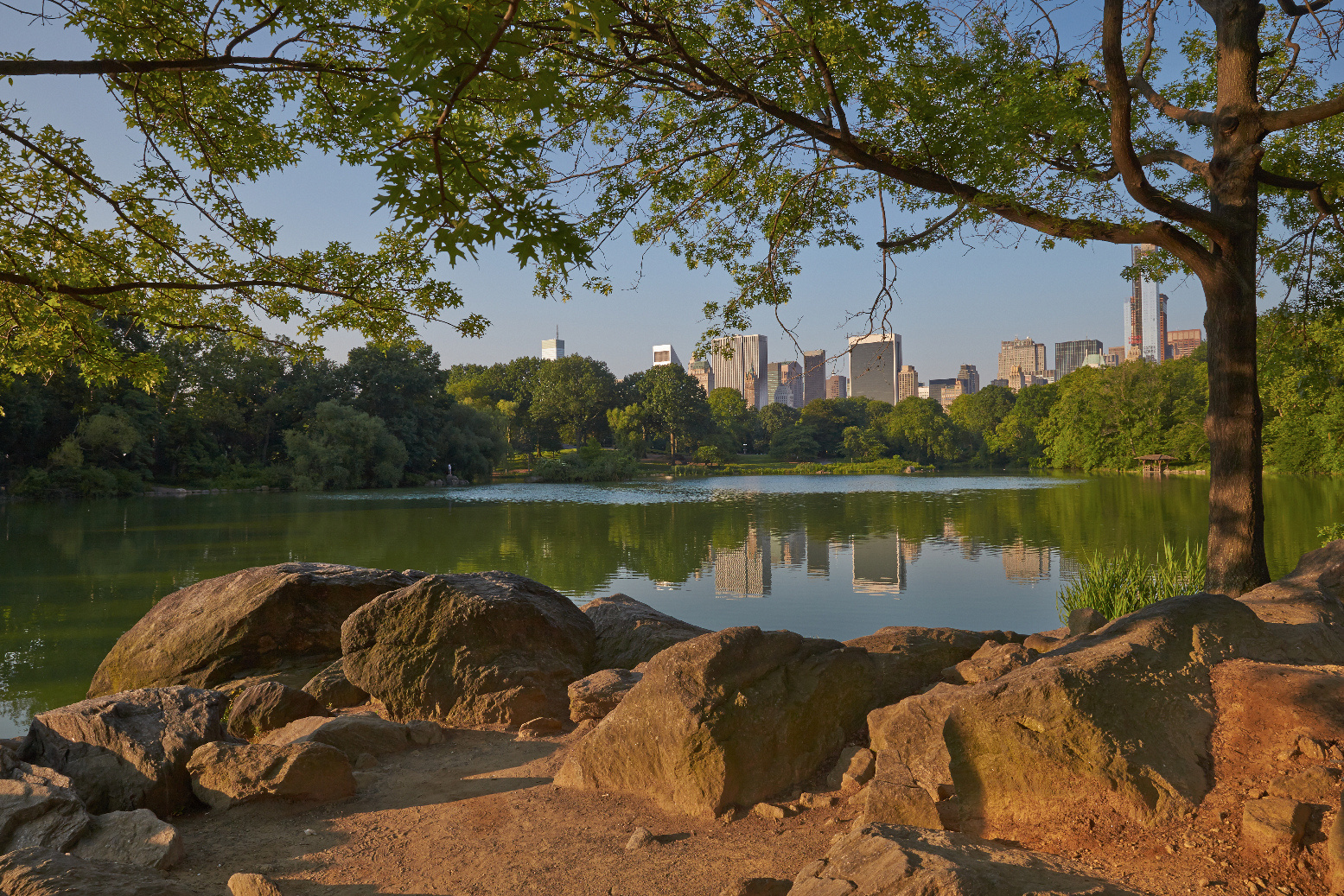 Central Park, Manhattan