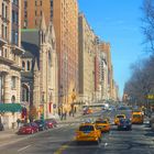 Central Park neighbours