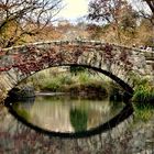 Central Park New York