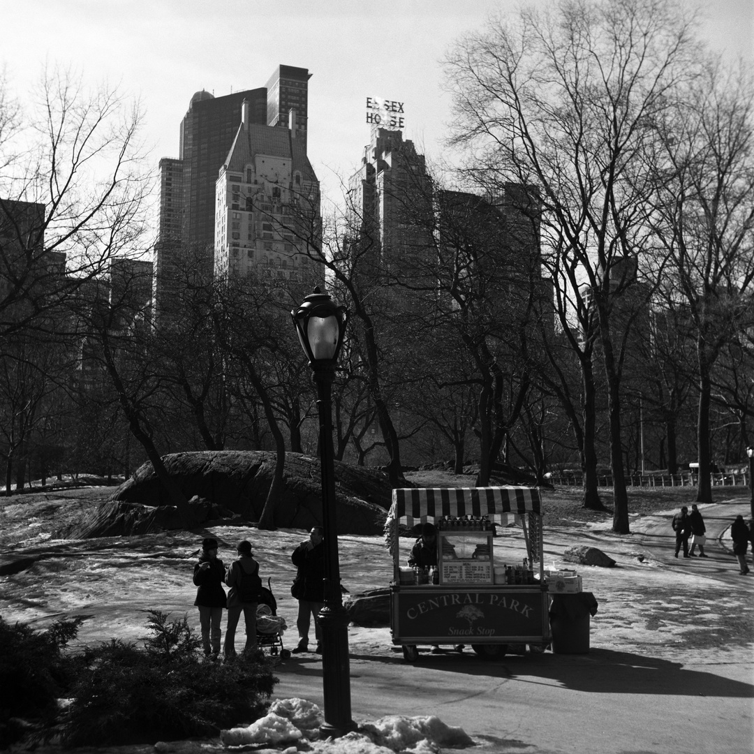 Central Park, New York