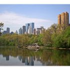 Central Park, New York