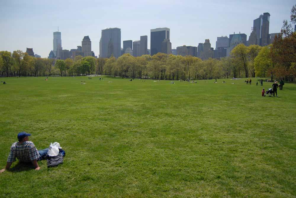 Central Park New York