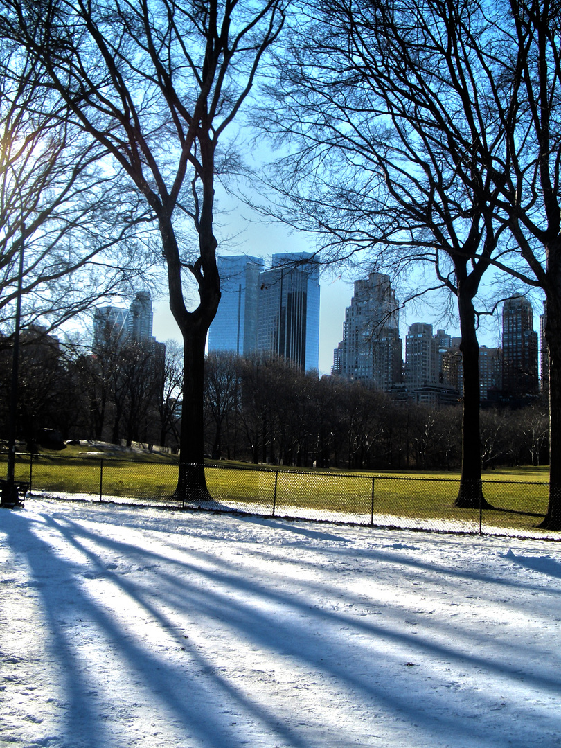 Central Park, New York City