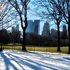 Central Park, New York City