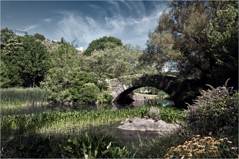 Central Park New York City