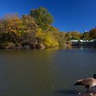 Central Park, New York City