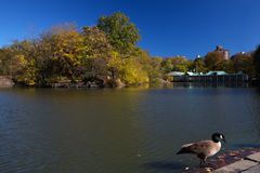 Central Park, New York City