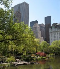 Central Park, New York