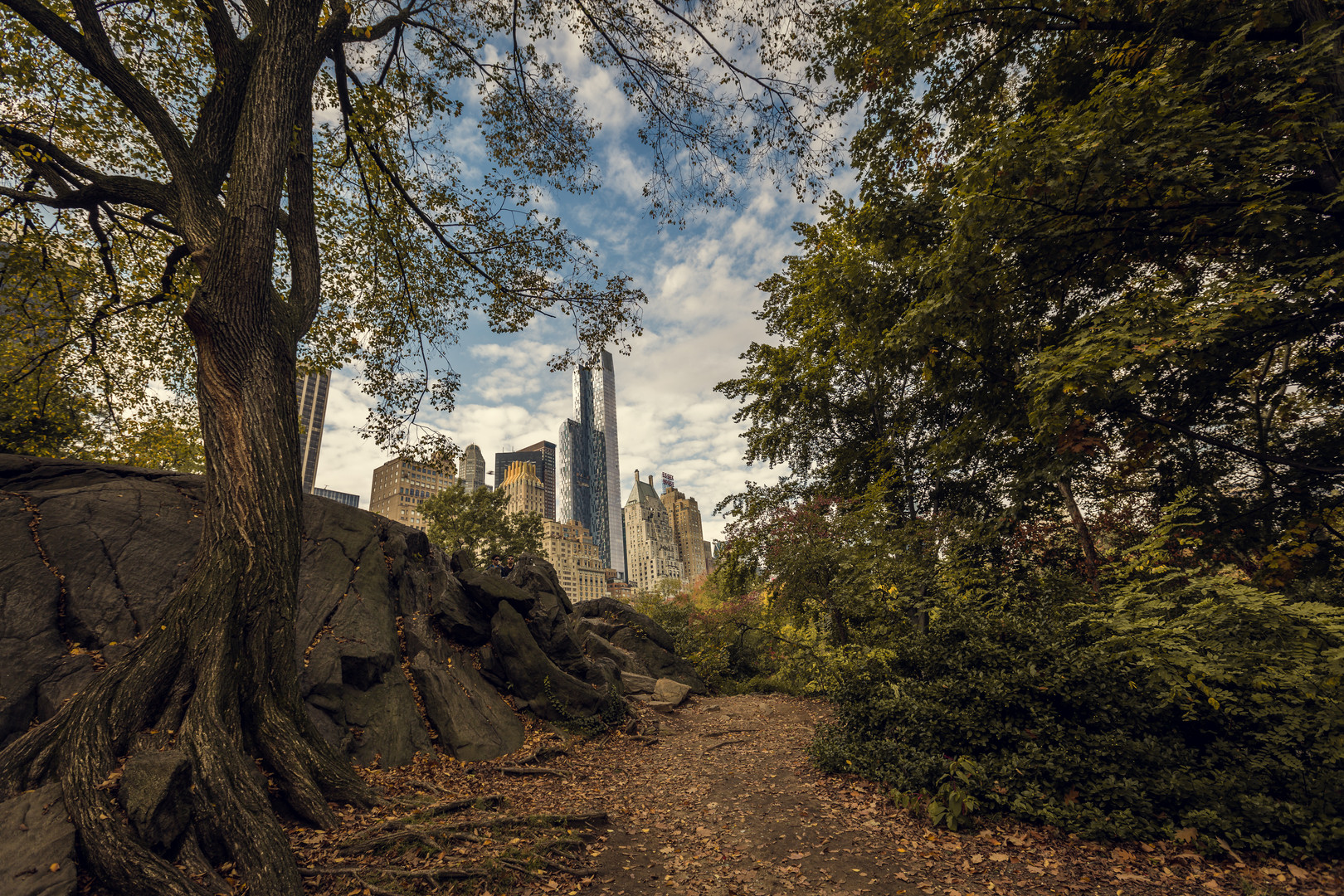 Central Park New York