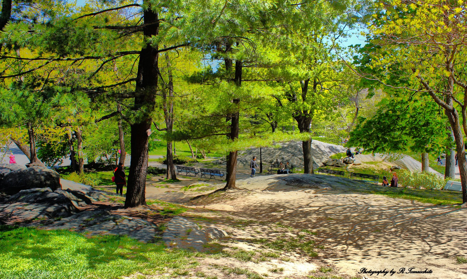 Central Park New York