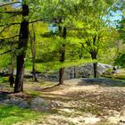 Central Park New York