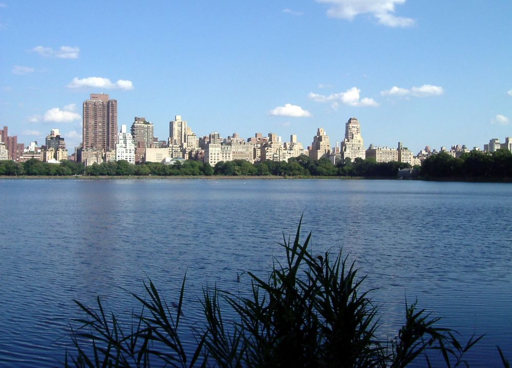 Central Park, New York