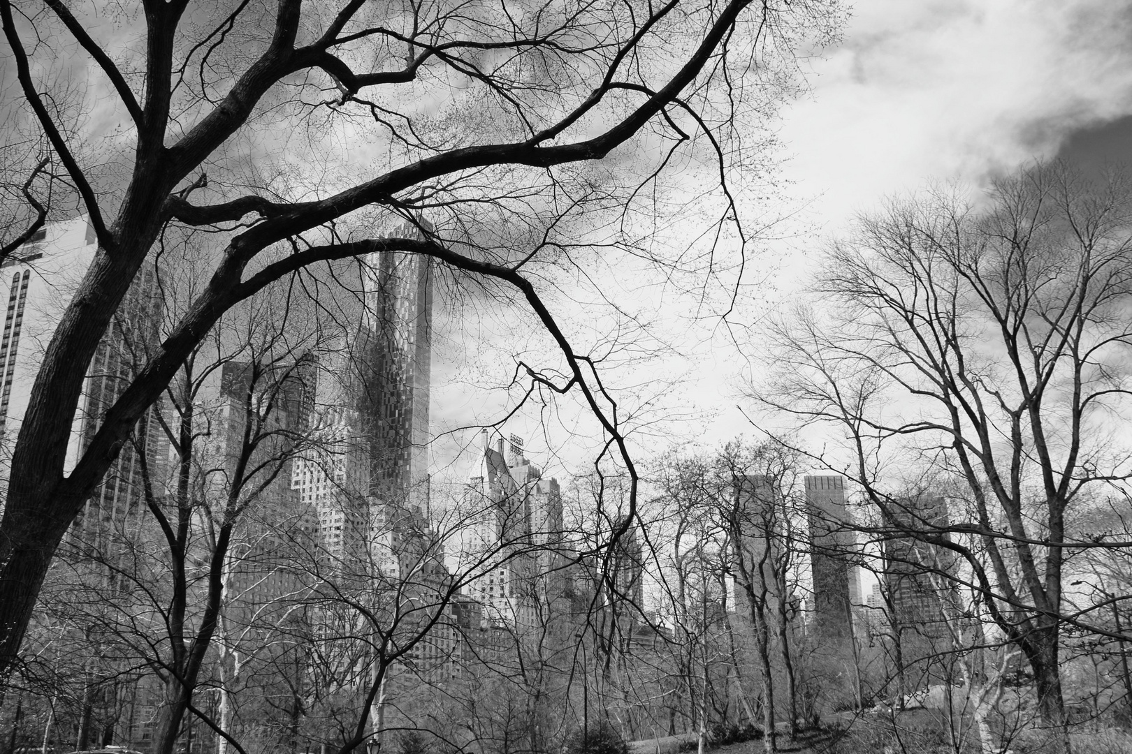 Central Park NY