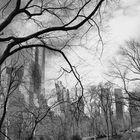 Central Park NY