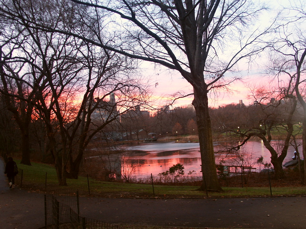 central park NY