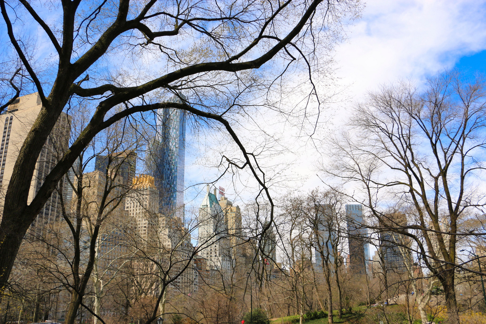 Central Park NY