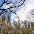 Central Park NY